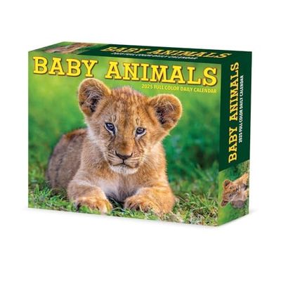 Baby Animals 2025 Box