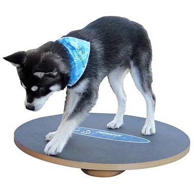 Ball Dynamics Int. LLC FitPAWS Balance Board voor honden, 50 cm