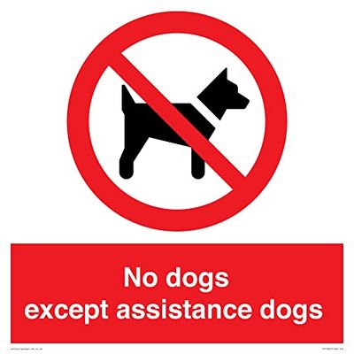 Panneau « No dogs except assistance dogs » - 400 x 400 mm - S40