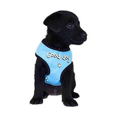 TSHIRT GOOD DOG servies blauw TXS