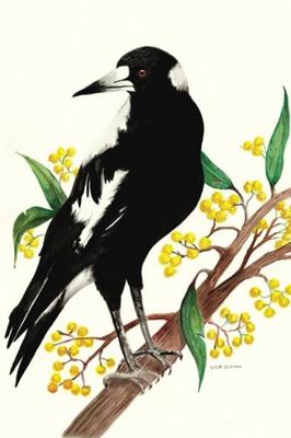 Australian Magpie Art Notebook - 100 pages: Beautiful soft-cover lined notebook/journal