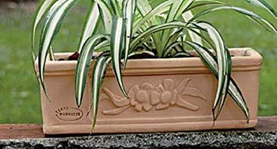 FIORIERA CASSETTA IN TERRACOTTA(2 PEZZI) FATTA A MANO; LUNGHEZZA CM. 30, ALTEZZA CM. 10, PROFONDITA’ CM. 19. MADE IN ITALY BONSAI PIANTE GRASSE