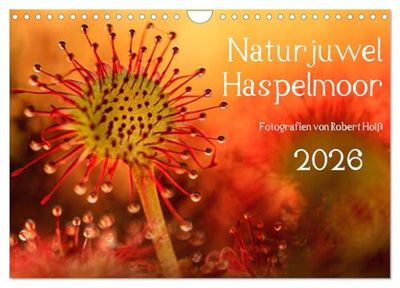 Naturjuwel Haspelmoor (Wandkalender 2026 DIN A4 quer), CALVENDO Monatskalender: Ein Moor sucht seinesgleichen