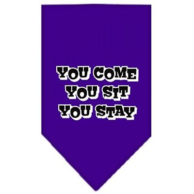 Mirage You Come You Sit You Stay Screen Print Bandana, Small, Purple