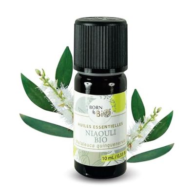 BORN TO BIO Huile Essentielle de Niaouli Bio - 100% Pure & Naturelle - Énergisante et Protectrice en Hiver - Décongestionne et Purifie l’Air - 10ml