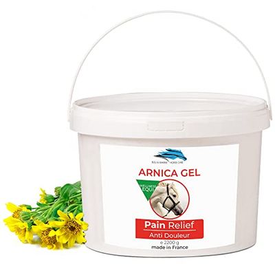 bleu & marine Bretania - Gel de Árnica Forte 90% Extracto Ecológico | Masaje Muscular & Articular | Hidratante de Piel | Ideal para Acné, Espinillas, Puntos Negros y Estrías, Naranja, 2.2 kg
