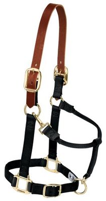 Weaver Leather Licol réglable en Nylon pour Cheval, Taille L, Noir