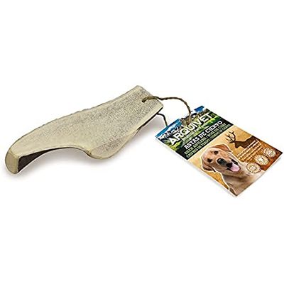 ARQUIVET Mezzo Corno di cervo - Corno da masticare per cani ecologico - Corno di cervo per cane - Corno da masticare naturale - Corno di cervo raccolto autunnale - L - 81-120 g