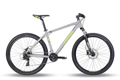 HEAD Troy 2.0 Bicicleta de montaña, Adultos Unisex, Gris Claro/Verde Mate, 41