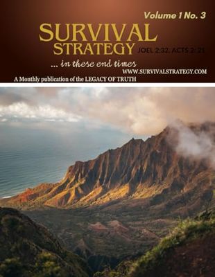 Survival Strategy Volume 1 No. 3