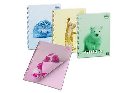 Pigna, Spiralat anteckningsblock med färgglada arkColorColor, f.to 21 x 29,7 cm, 50 ark, 80 g/m², randiga ark, 4-pack (4 ämnen i förpackningen)