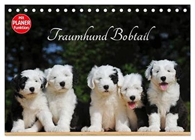 Traumhund Bobtail (Tischkalender 2026 DIN A5 quer), CALVENDO Monatskalender: Der Bobtail, der Old English Sheepdog, auf 13 bezaubernden Bildern