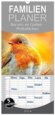 Familienplaner 2024 - Bei uns im Garten - Rotkehlchen mit 5 Spalten (Wandkalender, 21 cm x 45 cm) CALVENDO