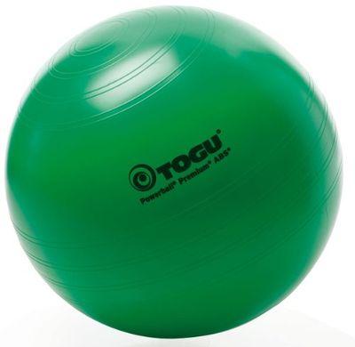 Togu Premium ABS Power Gymnastiekbal