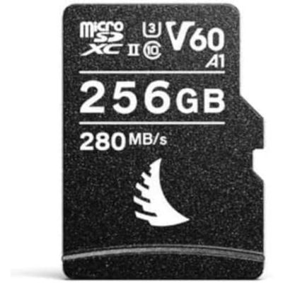 ANGELBIRD AV PRO microSD (256GB) V60