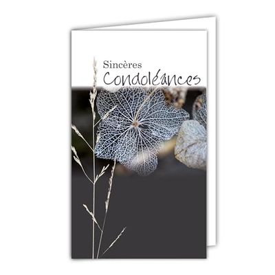 AFIE 24-1007-B - Carta Sincere condoglianze con busta bianca, 10 x 16,5 cm, pianta erbosa, foglia morta, puré sobrio lutto morte