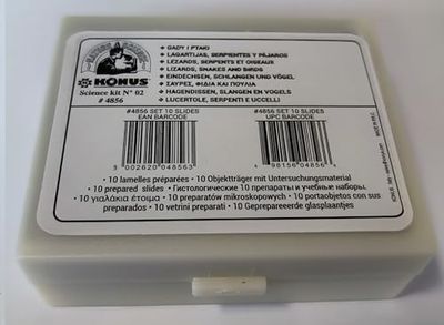 Konus Art 4856 - Lucertole Serpenti Uccelli