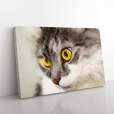 Cat Eyes No.7 Modern Canvas Wall Art Print Ready to Hang, Framed Picture for Living Room Bedroom Home Office Décor, 60x40 cm (24x16 Inch)