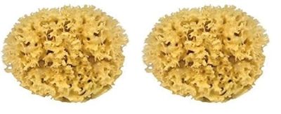 Croll & Denecke M080 - spugna naturale dal Mar Mediterraneo (qualità media, otto centimetri) (Confezione da 2)