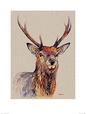 Jane Bannon PPR51121 Toile Imprimée, Multicolore, 60 x 80 cm