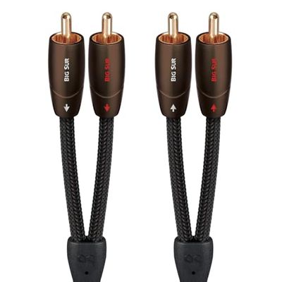 AudioQuest Big Sur RCA Audiokabel 0,6 M - 2 X RCA, Koper, Zwart