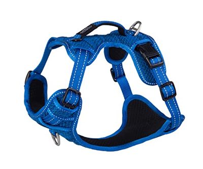 Rogz Explore Arnés Acolchado Azul Medio