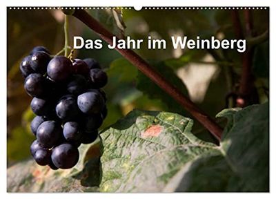 Das Jahr im Weinberg (Wandkalender 2026 DIN A2 quer), CALVENDO Monatskalender: Arbeit im Weinberg