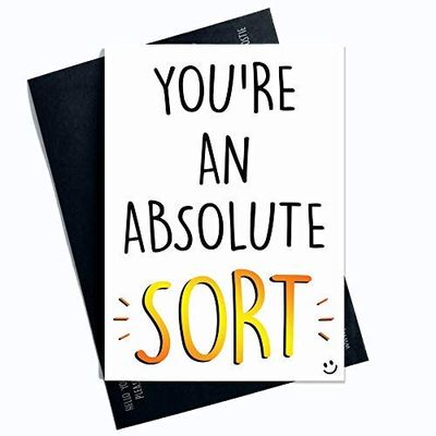 Funny Greeting Cards Husband Boyfriend Wife Girlfriend Novelty Banter Adult Humour You're an Absolute Sort Best Friend Milf DILF Joke PC361