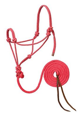 Weaver Leather Cavezza e guinzaglio in Corda Intrecciata, Rosa Acceso/Oro/Turchese, Cavallo Medio