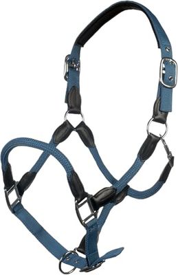 HKM Carlotta Licol Bleu Gris Pur-sang