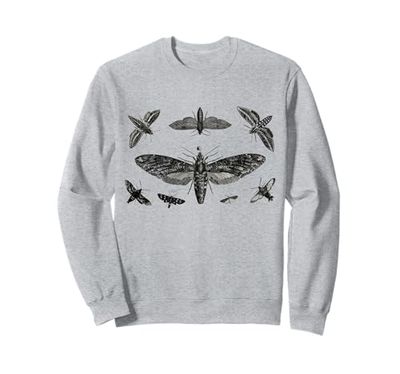 Collezione vintage insetti Vintage Skull Moth Entomologia Felpa