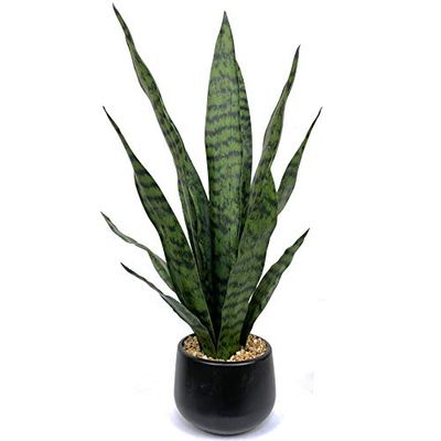 Bird Fiy Artificial Snake Plant 22.5" Faux Agave Fake Sansevieria Artificial Potted Plants for Indoor and Outdoor Home Office Décor
