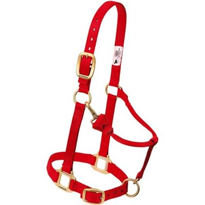 Weaver Leather Cavezza da Cavallo in Nylon Regolabile Originale, Yearling, Rosso