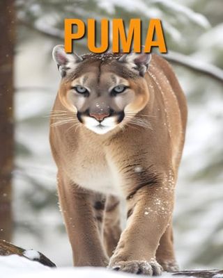 Puma: La guía esencial de este increíble animal con fotos increíbles