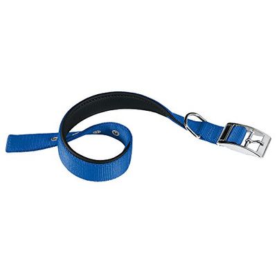 Ferplast Medium Size Hondenhalsband Verstelbare Gevoerde Nylon Hondenhalsband Metalen Gesp, Nekomvang 32-39 cm, Blauw