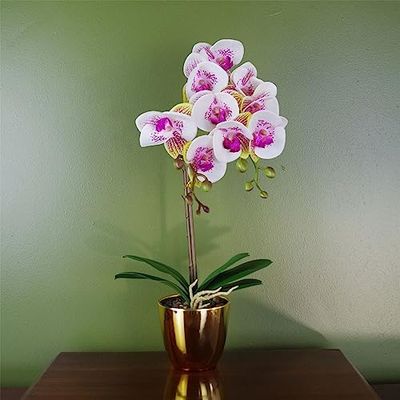 Leaf 48cm Harlequin Orchid Artificial - Pink with Gold Pot