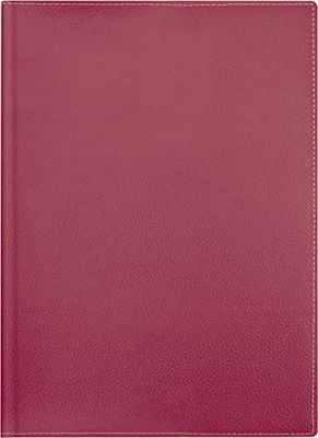 BRUNNEN Weekly Desk Planner Calendar Model 796 2024, 2 Pages = 1 Week, Sheet Size 14.8 x 20.8 cm, Red