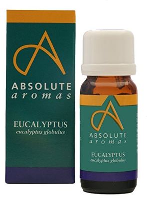 Absolute Aromas Eucalyptus Globulus Essential Oil Pack of 12