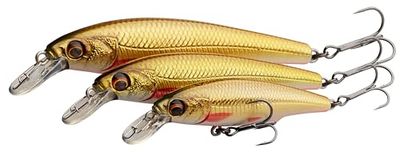 Savage Gear Gravity Twitch SR - Señuelo de Primera Calidad para Depredadores de Agua Dulce para Pescadores,acción de lanzar y patear para percas, lucios y truchas,Roach 11.5 cm