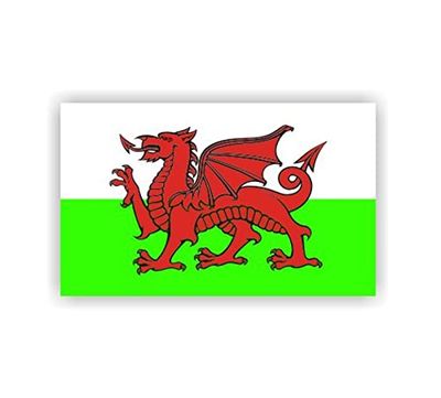 Sea View Stickers Logo Wales Vlag Auto Van Sticker