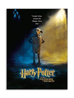 HARRY POTTER - Impression en Verre - Dobby - 30X40 Cm