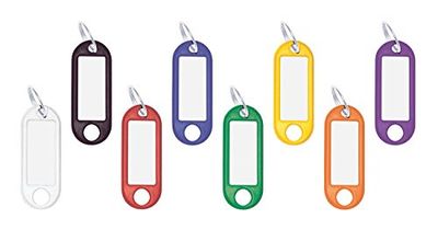 WEDO 262811899 Key Fob for Labelling, Pack of 100, with Ring