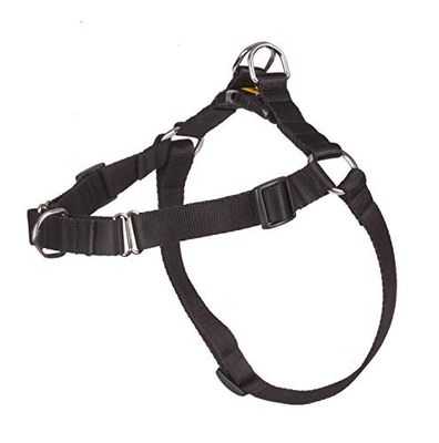 DINGO Easy Walk - Hundsele - 42-64 cm