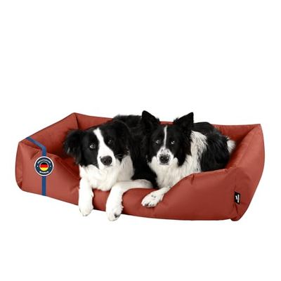 BedDog Panier Chien XXL - Coussin Chien - Tapis Chien - Panier pour Chien Moyen Taille - Lit pour Chien - Paniers et Mobilier pour Chiens - Corbeille Chien en Microfibre Velours et Cordura