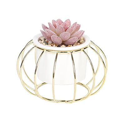 Sleepdown Halo Rode Succulent Kunstmatige Faux Plant Gouden Kooi Stand Voor Thuiskantoor Badkamer Decor Indoor Decoratie Esthetiek