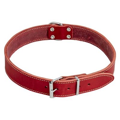 Jack and Vanilla - Collier pour Chien Cuir Gras - Matière Solide, Durable, Facile à Entretenir, Toucher Doux et Agréable - Look Moderne - Couleur Rouge, Taille 30 mm x 60 cm