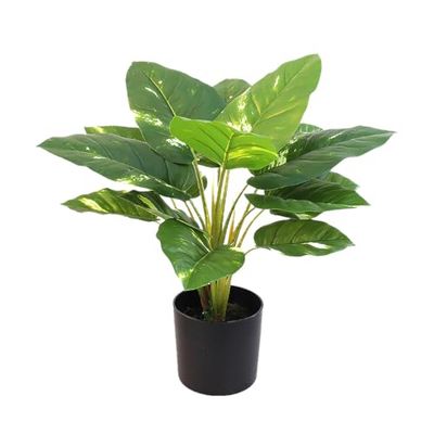 Alexandra House Living Plante décorative en Plastique 50 cm