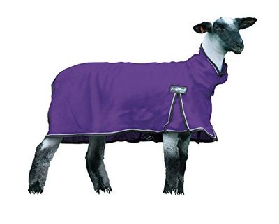 Weaver Leather Livestock ProCool Mesh Sheep Blanket with Reflective Piping, Purple, Large