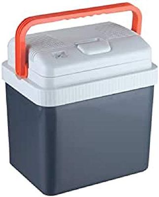 Guzzanti Gz 24A Raffreddatore Termoelettrico, Grigio
