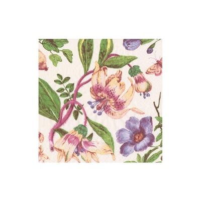 Porcelain Blooms Ivory Boxed Cocktail Napkins - 40 Per Box